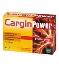 CARGIN POWER 12BUST