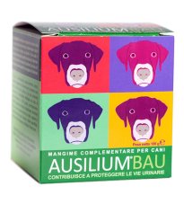 AUSILIUM BAU 100G