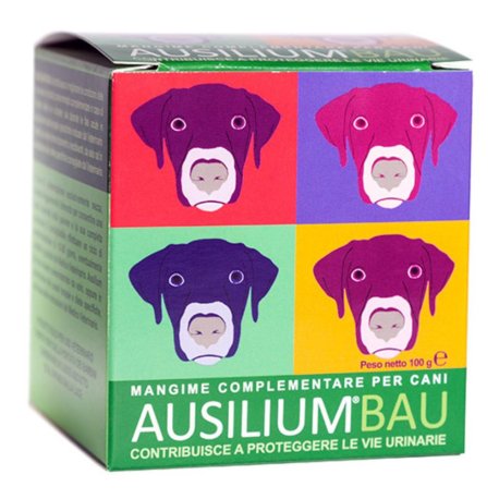 AUSILIUM BAU 100G