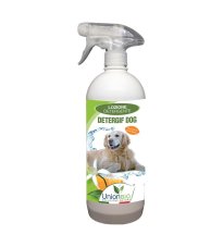 DETERGIF DOG LOZ DETERGENTE 1L