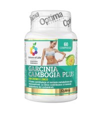 GARCINIA CAMBOGIA 60CPR COLOUR