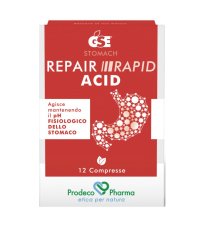 GSE REPAIR RAPID ACID 12CPR