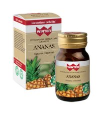 WINTER ANANAS BIO 30CPS VEG