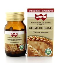 WINTER GERME GRANO 30CPS VEG