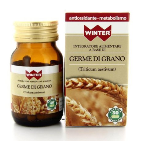 WINTER GERME GRANO 30CPS VEG