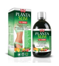 WINTER PLANTA SLIM 12ERBE500ML