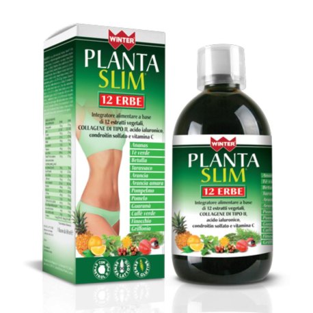 WINTER PLANTA SLIM 12ERBE500ML