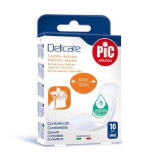 CER PIC DELICATE 25x72 10PZ