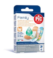 CER PIC FAMILY MIX 20PZ