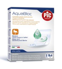 CER PIC AQUABLOC 10X6 5PZ