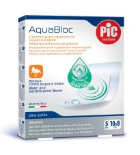 CER PIC AQUABLOC 10X8 5PZ