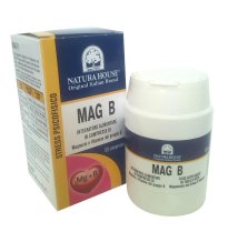 NH MAG B CPR MAGNESIO + VIT B