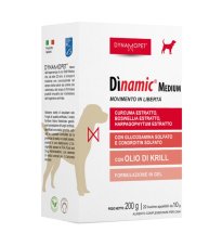 DINAMIC 20BUSTINE 10G