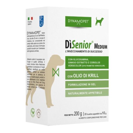 DISENIOR 20BUSTINE 10G