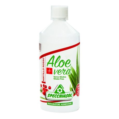 SUCCO ALOEVERA+ ALOE/MIRT R1LT