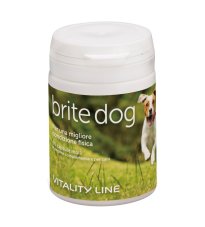 BRITE DOG 60CPS MOLLI