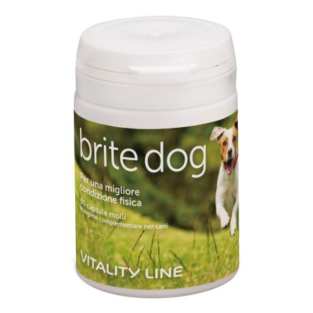 BRITE DOG 60CPS MOLLI