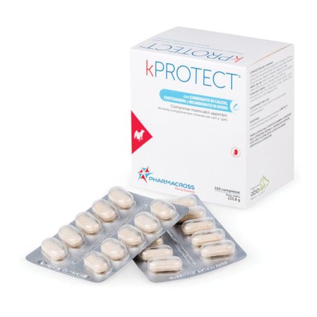 KPROTECT 120CPR MASTICABILI