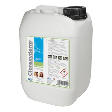 CLOREXYDERM SHAMPOO 5L