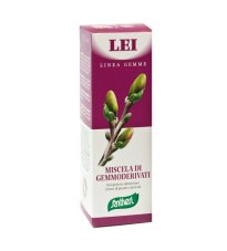 LEI LINEA GEMME ZEFIRUS 100ML LEI LINEA GEMME ZEFIRUS 100ML