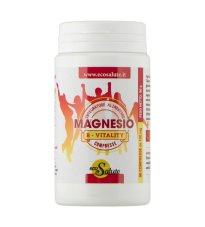 MAGNESIO BVITALITY 90CPR