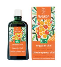 OLIVELLO SPINOSO VITAL SCIR