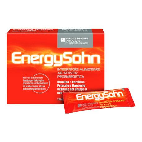 ENERGYSOHN 12BUST