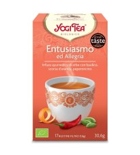 YOGI TEA JOIE DE VIVRE BIO 17F