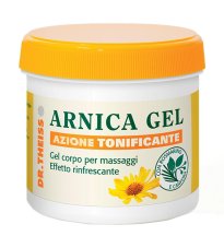 DR THEISS ARNICA GEL RAPIDO