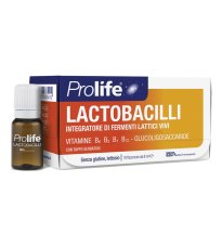 PROLIFE LACTOBACILLI 10FL 8ML