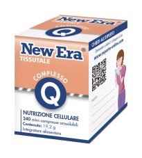 NEW ERA Q 240GR