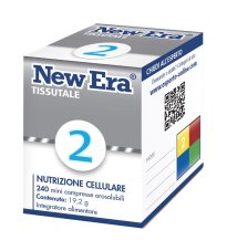 NEW ERA 2 240GR