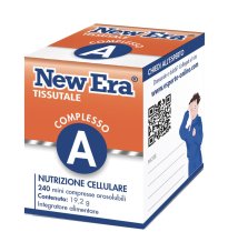 NEW ERA A 240GR