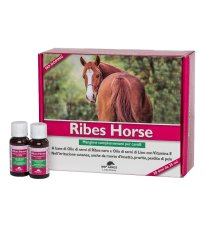 RIBES HORSE 30FLX25ML