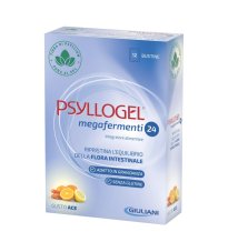 PSYLLOGEL MEGAFERMENTI 24 ACE