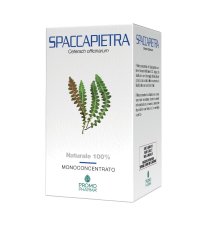 SPACCAPIETRA 50CPS