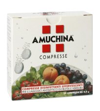 AMUCHINA COMPRESSE 1G 24PZ