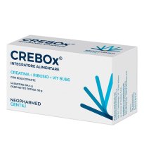 CREBOX 14BUST