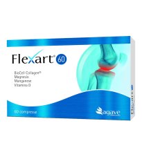 FLEXART 60 60CPR