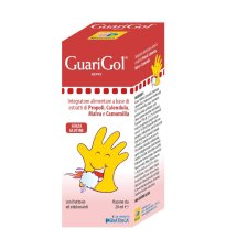 GUARIGOL SPRAY 20ML