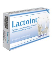 LACTOINT DIECIMILA 30CPS