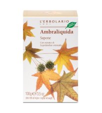 AMBRALIQUIDA SAPONE 100G