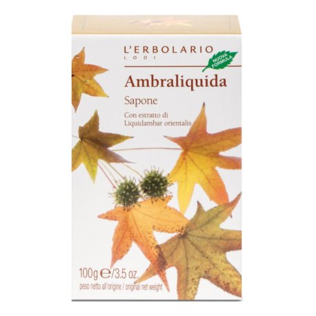 AMBRALIQUIDA SAPONE 100G