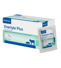 ENERLYTE PLUS 24BUST 100G