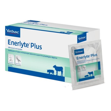 ENERLYTE PLUS 24BUST 100G