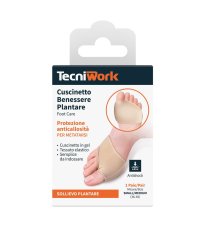 NIGHT&DAY BEN PLANT S/M 1PAIO