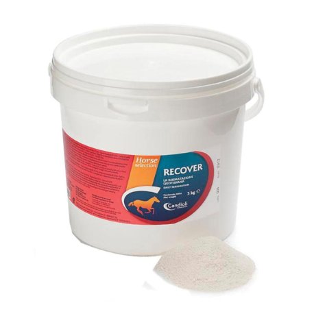 RECOVER REIDRATANTE CAV 3KG