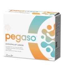 PEGASO PIGRO JUNIOR 14BUST PEGASO PIGRO JUNIOR 14BUST