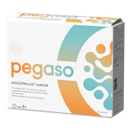 PEGASO PIGRO JUNIOR 14BUST