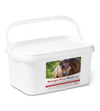 RESURGEN HORSE MUSCLE PL60BUST